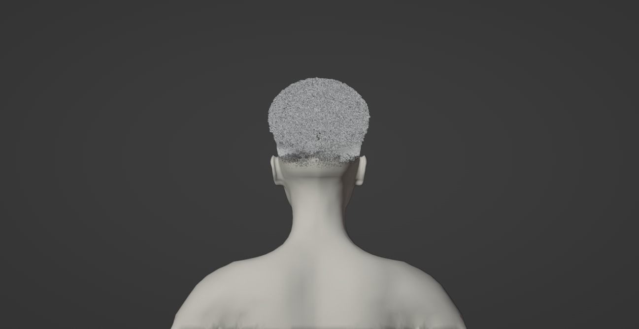 High Top Fade 3D model_13