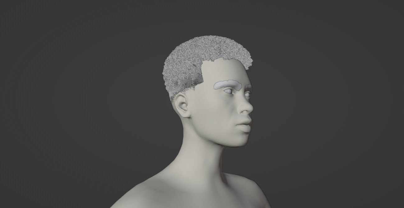 High Top Fade 3D model_11