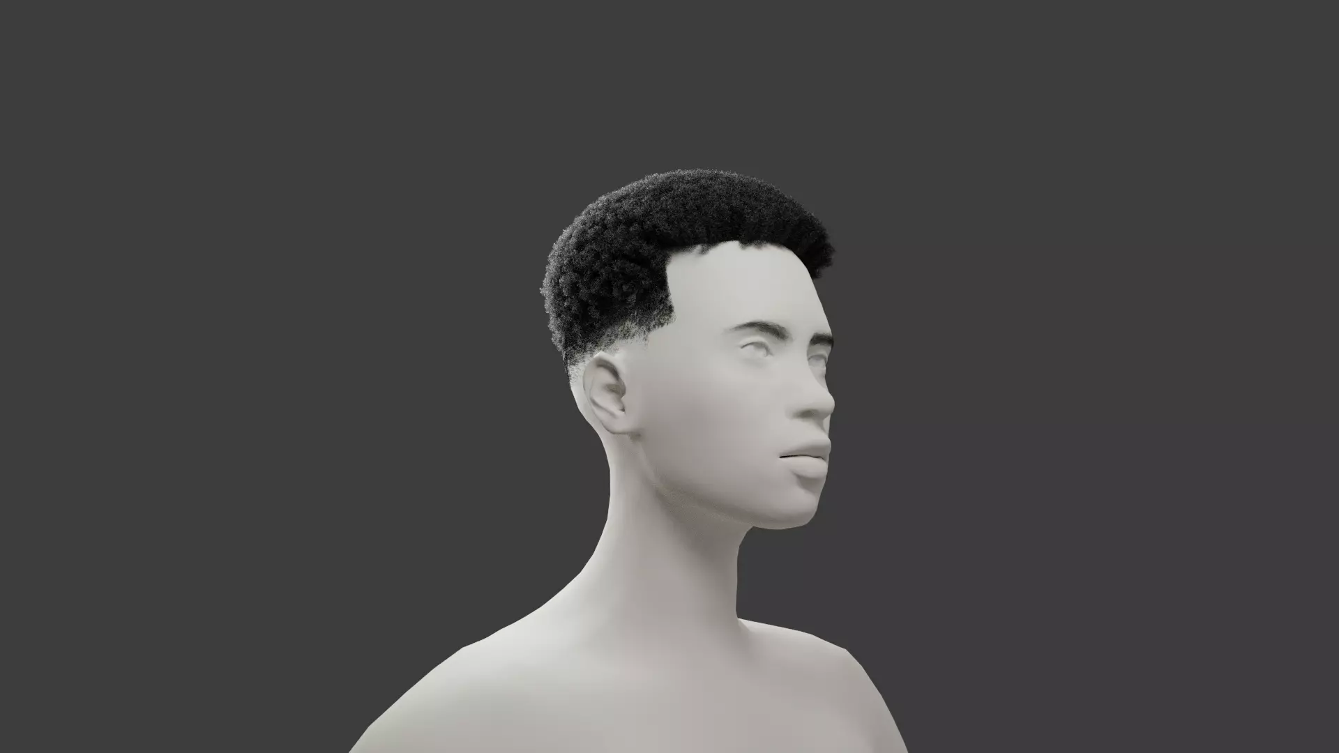 High Top Fade 3D model_0