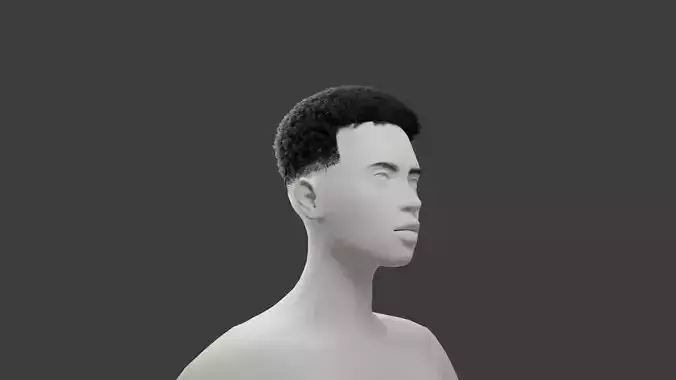 High Top Fade 3D model
