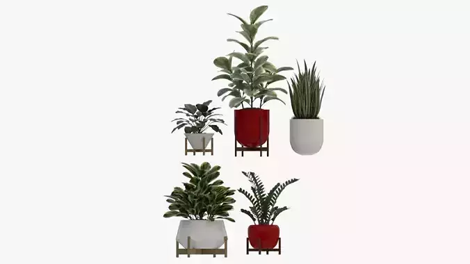 Plants Collection A5