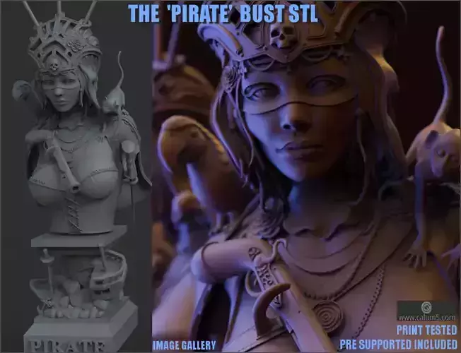 The Pirate bust 3D print model