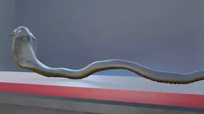 Cobra snake 