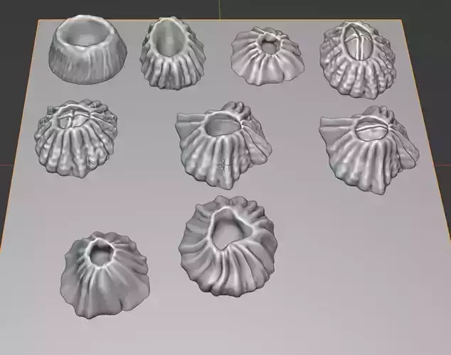 Barnacle 3D print model set of shells 3D print model