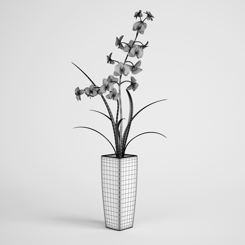 CGAxis flower 3D model_1