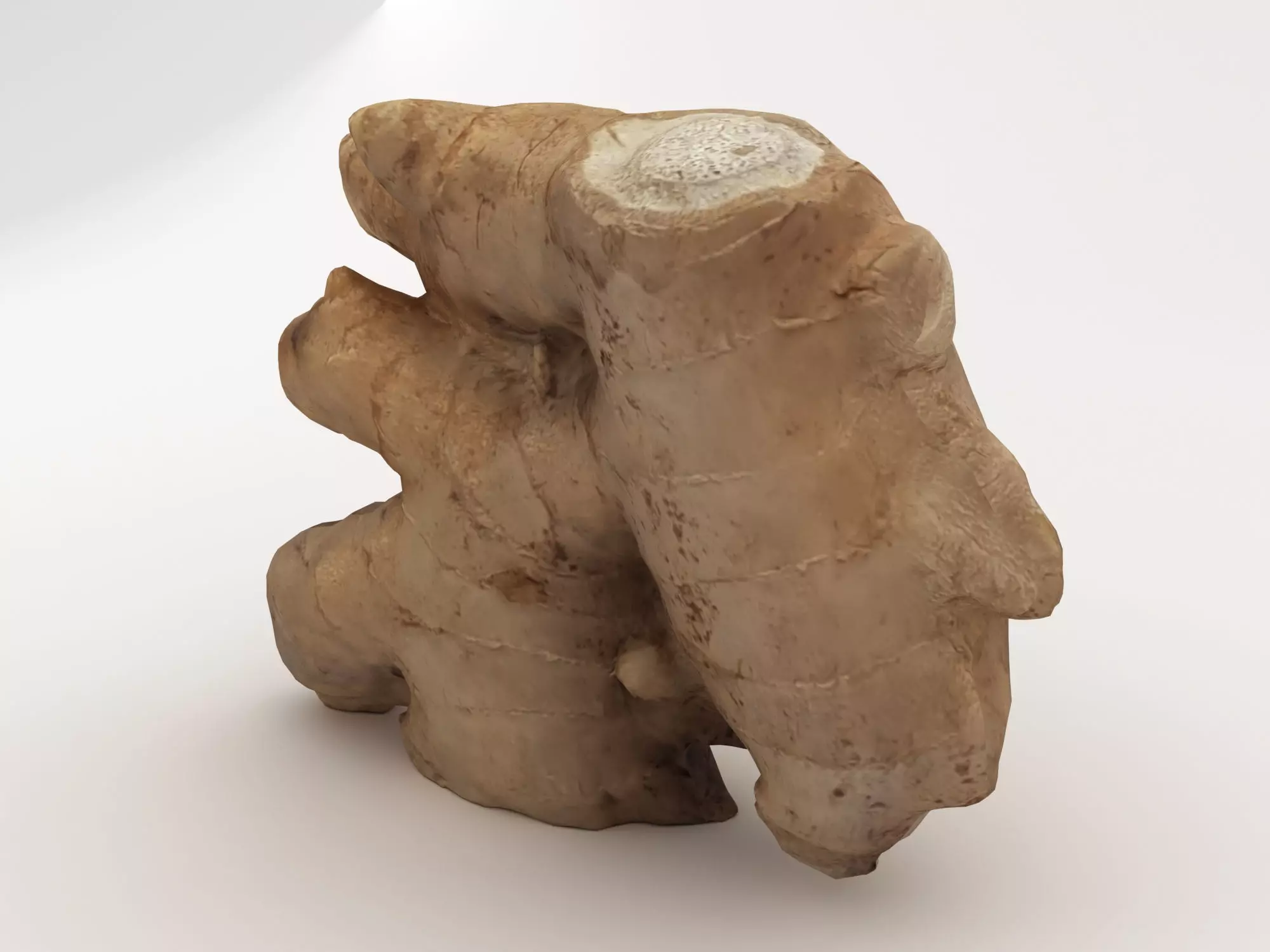Root Ginger 3D model
