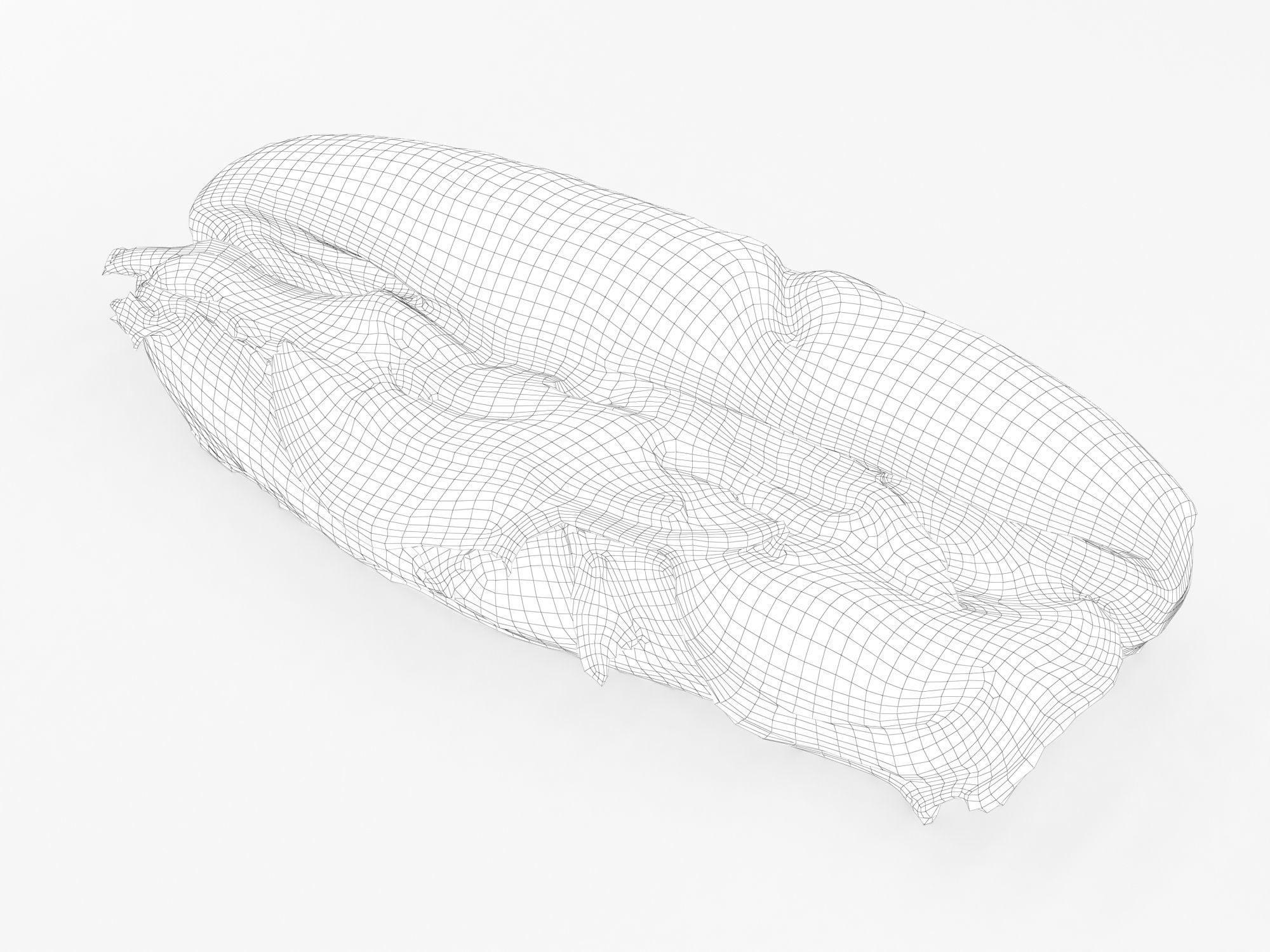 Sub Sandwich Baguette 3D model_9