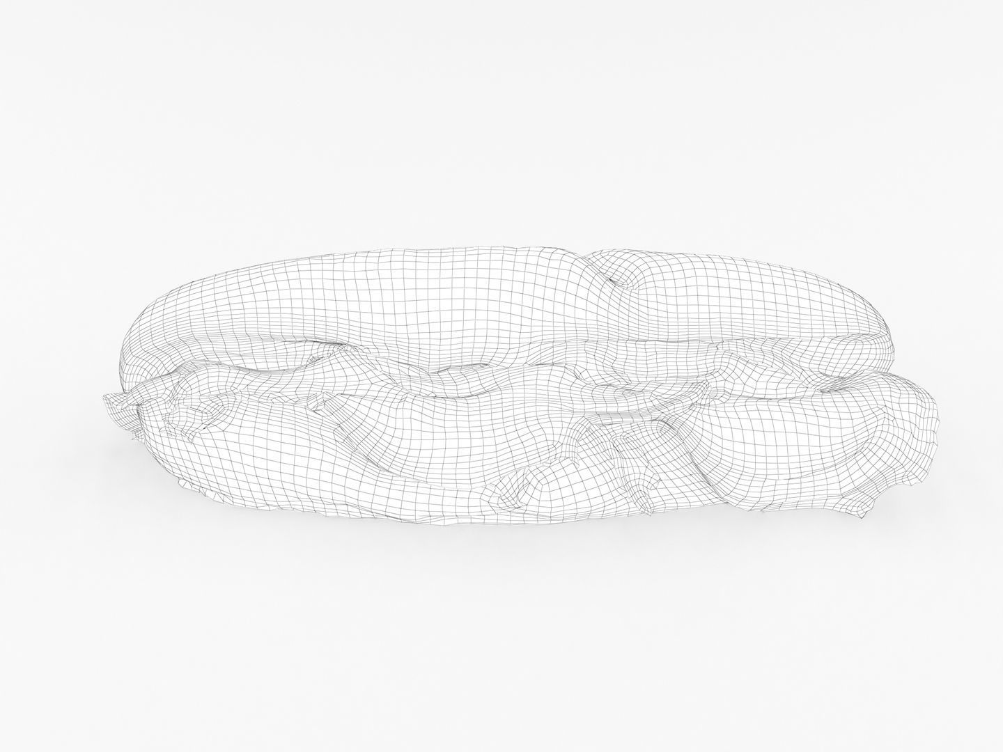 Sub Sandwich Baguette 3D model_10