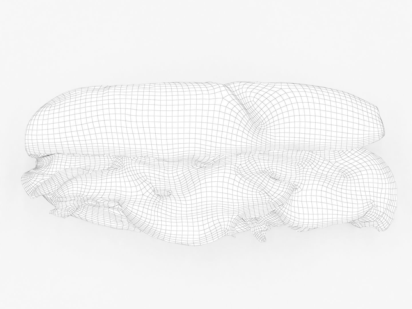 Sub Sandwich Baguette 3D model_17