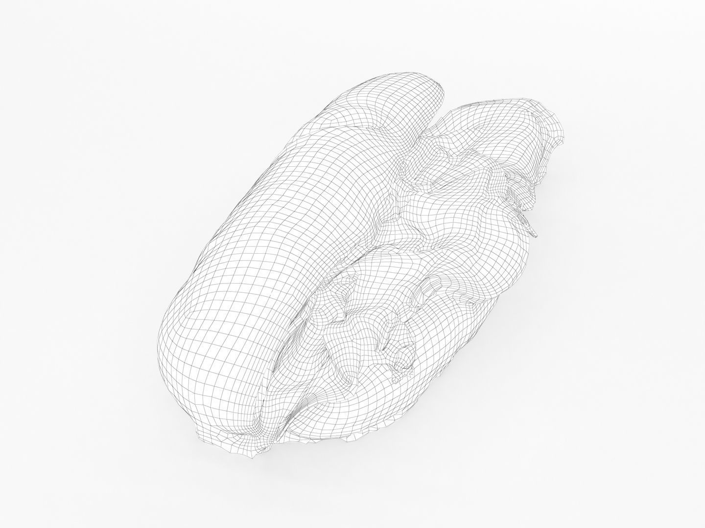 Sub Sandwich Baguette 3D model_11