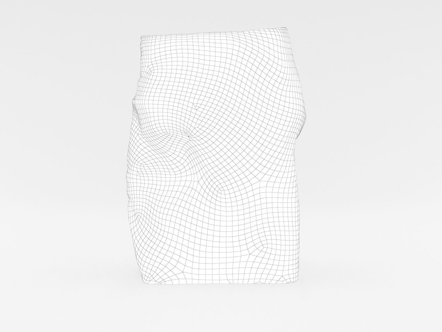 Bag of Salt 3D model_16