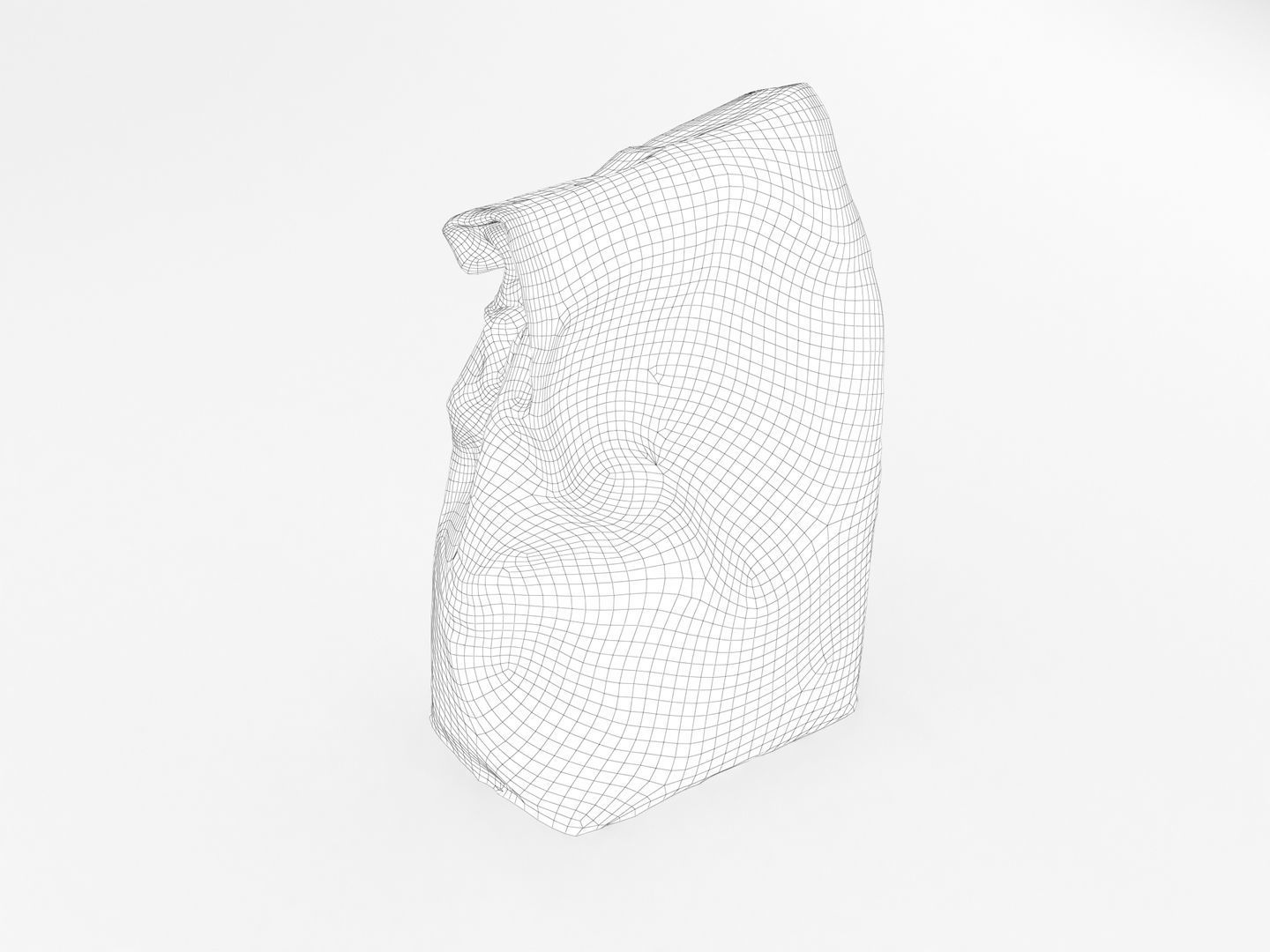 Bag of Salt 3D model_13