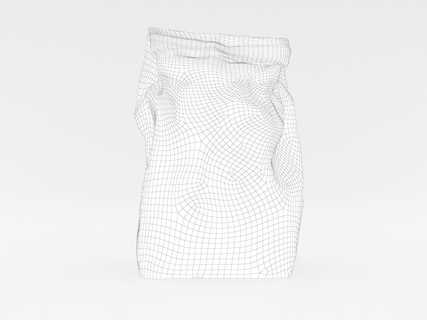 Bag of Salt 3D model_15
