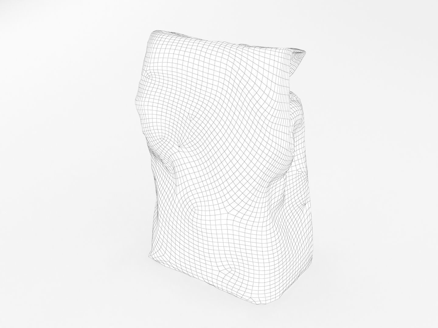 Bag of Salt 3D model_12