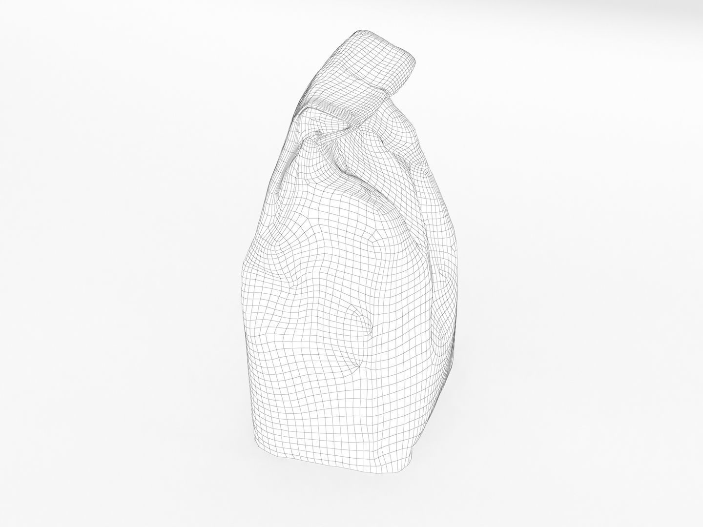 Bag of Salt 3D model_11
