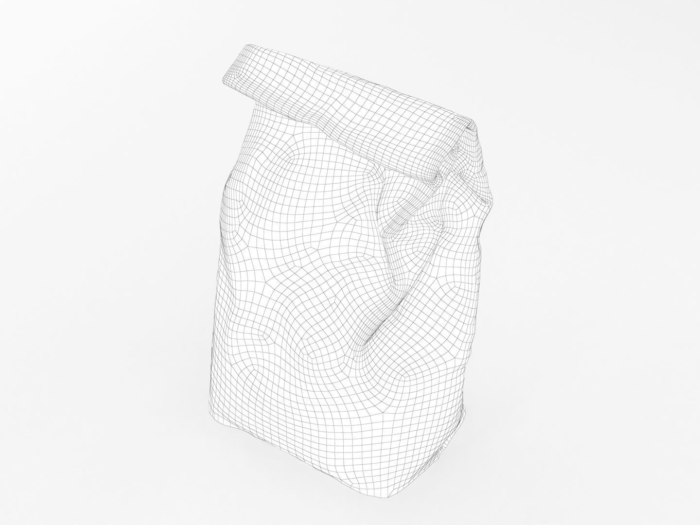 Bag of Salt 3D model_9