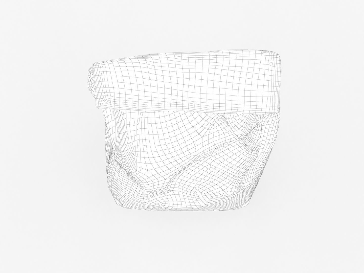 Bag of Salt 3D model_17