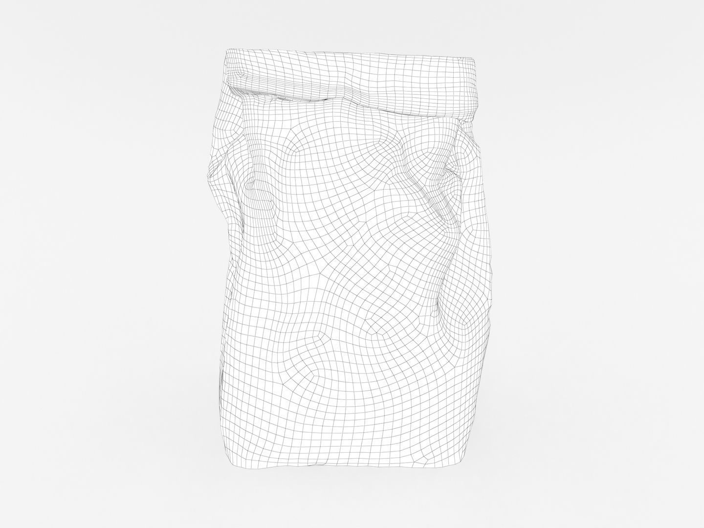 Bag of Salt 3D model_10