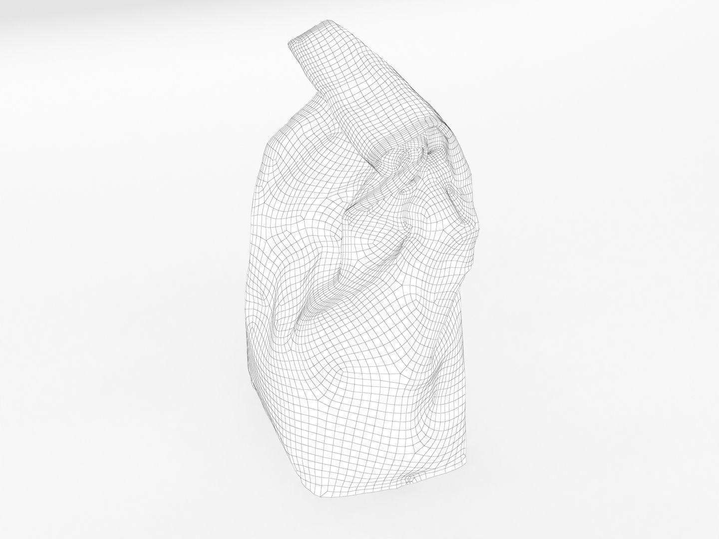 Bag of Salt 3D model_14