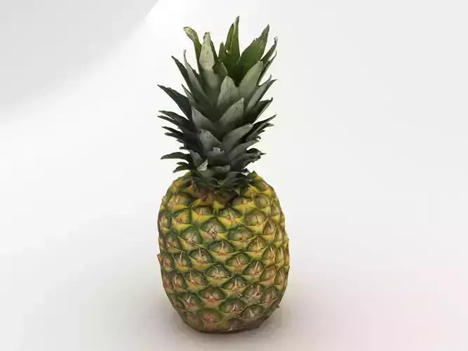 Pineapple 3D model