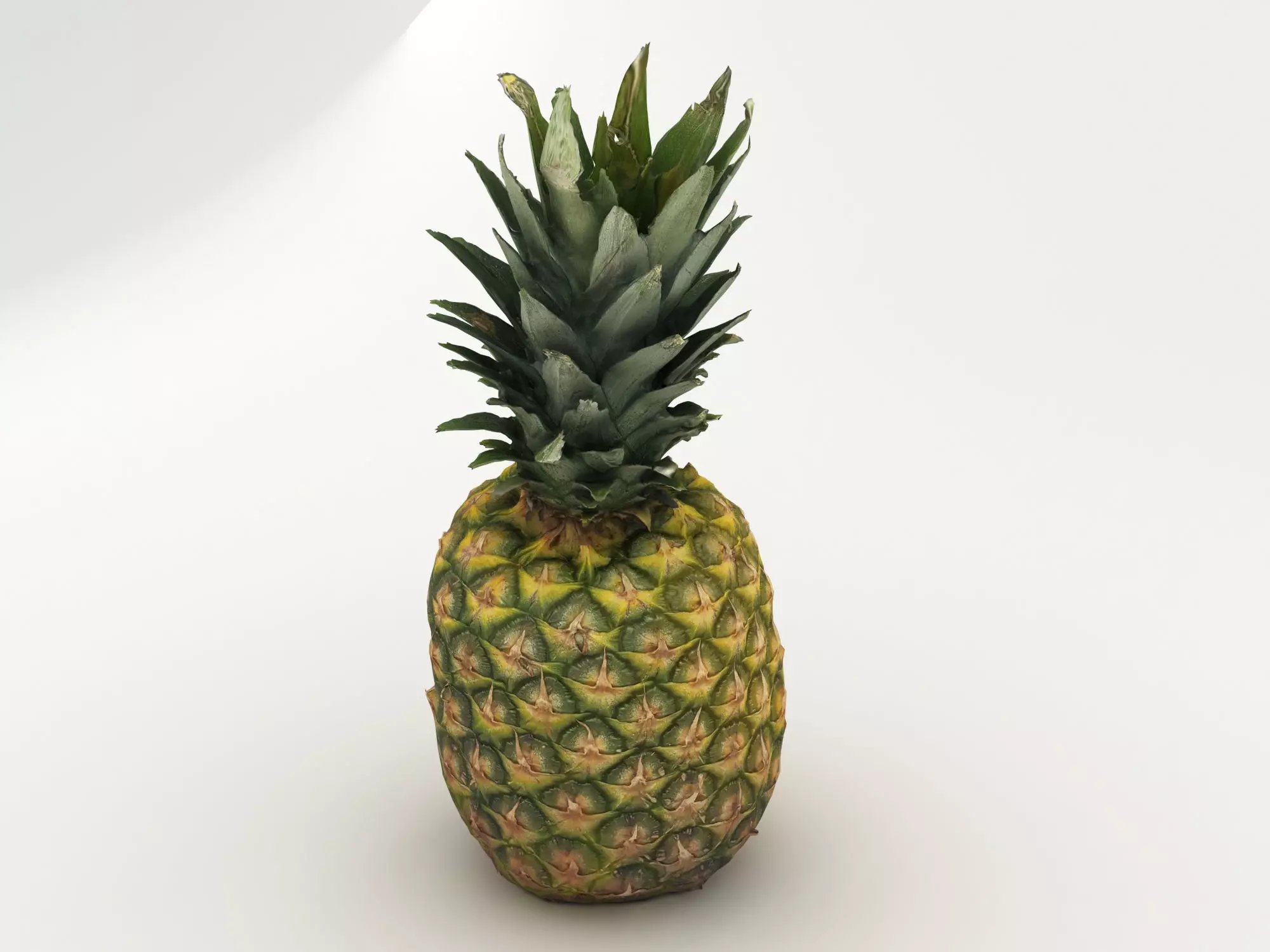 Pineapple 3D model_0