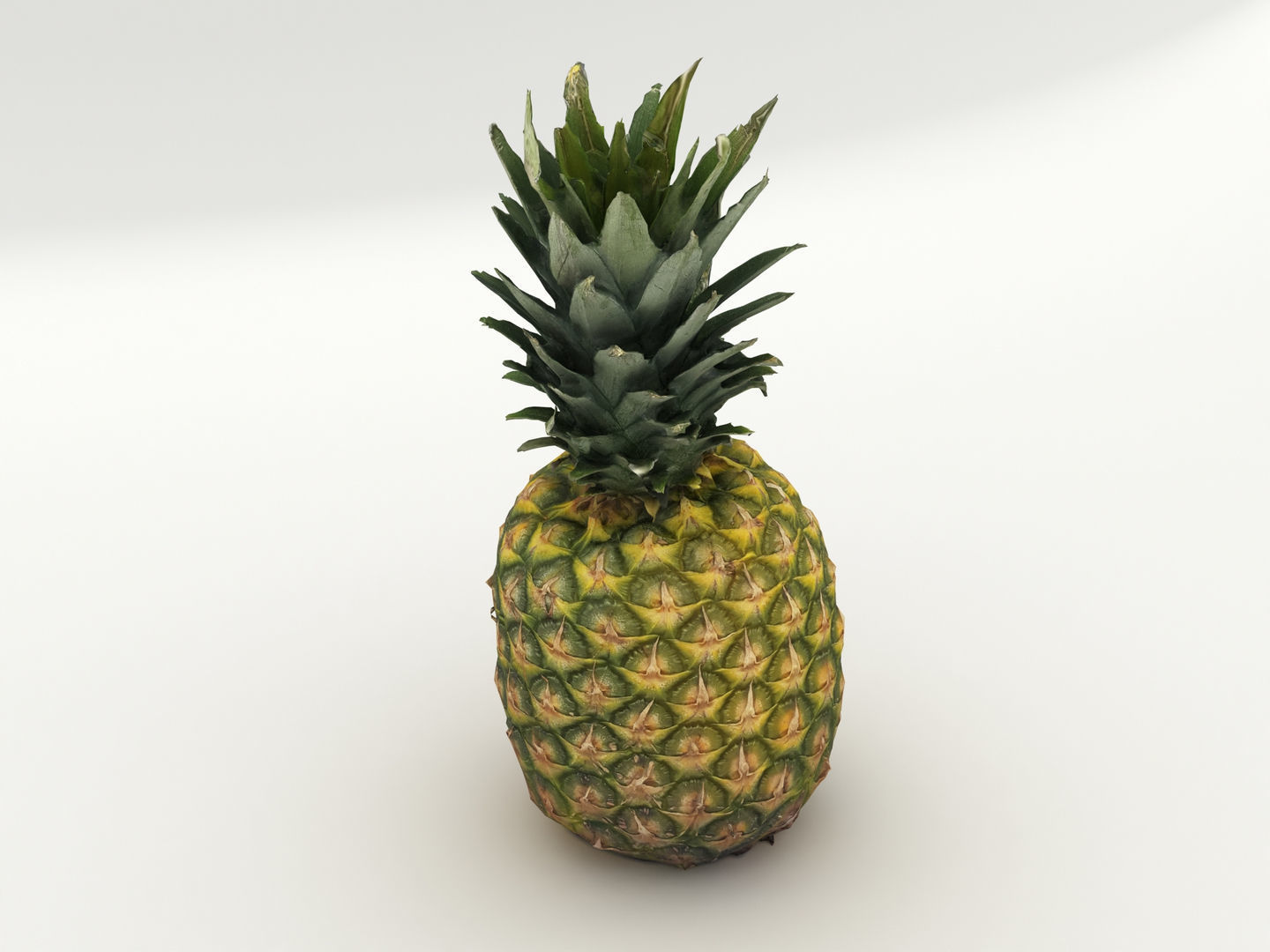 Pineapple 3D model_5