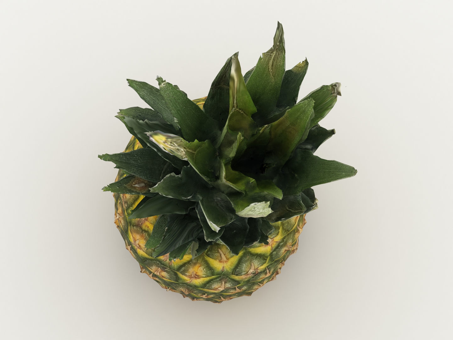 Pineapple 3D model_8