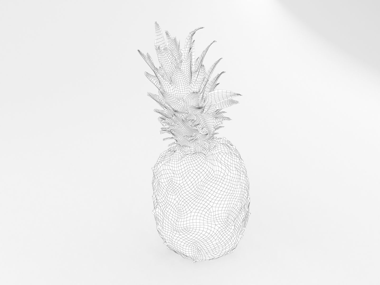 Pineapple 3D model_13