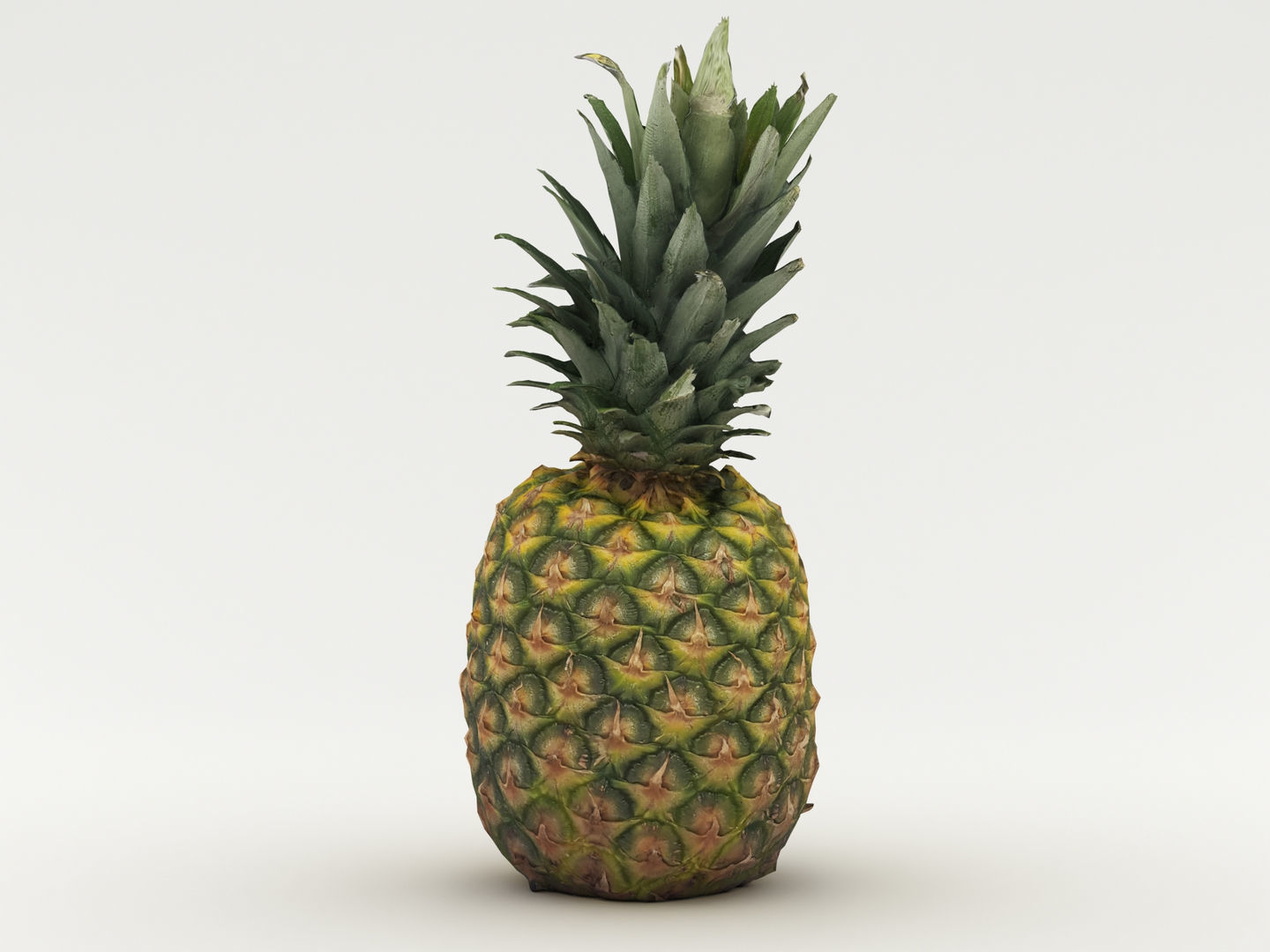 Pineapple 3D model_6