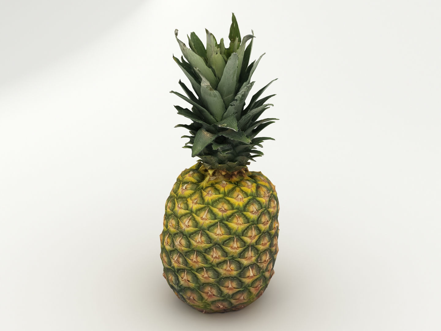Pineapple 3D model_3