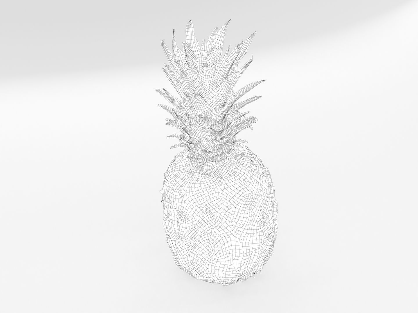 Pineapple 3D model_14