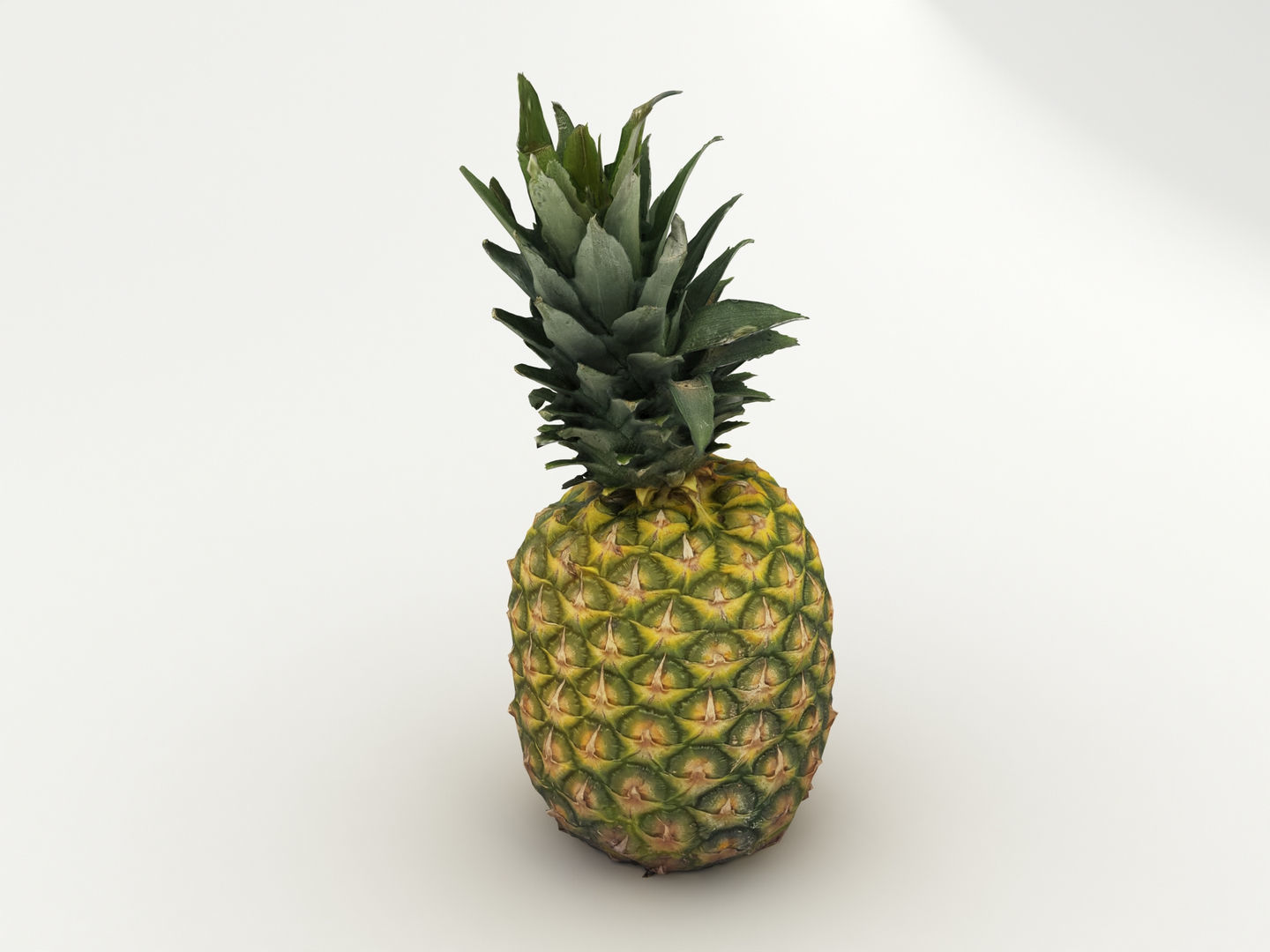 Pineapple 3D model_4