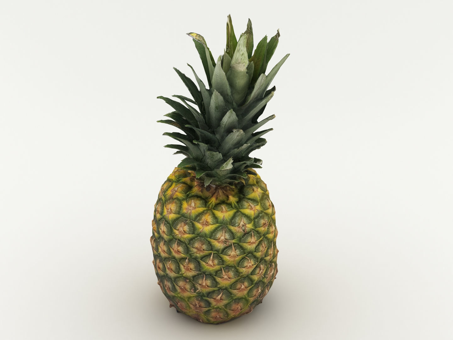 Pineapple 3D model_1