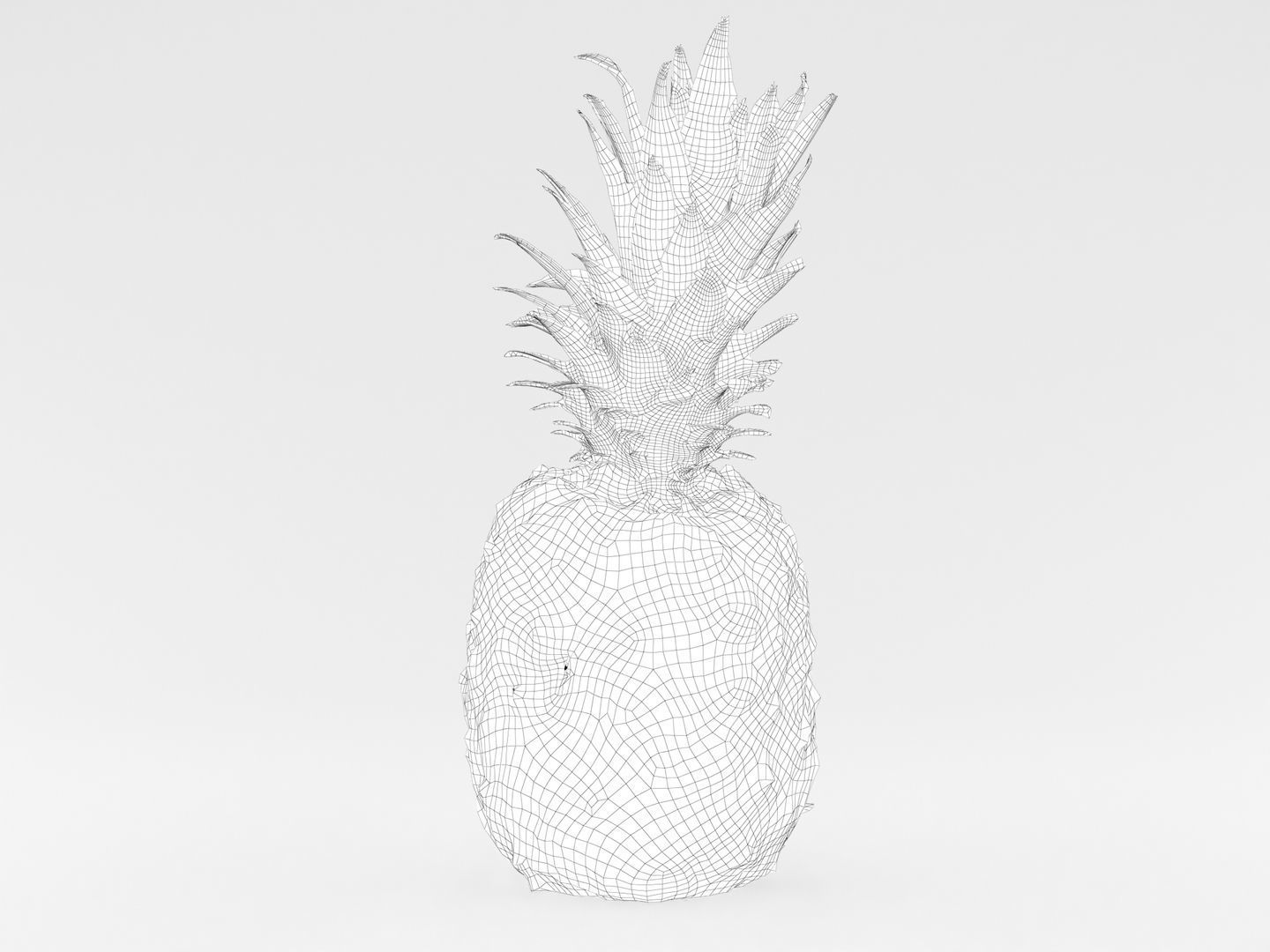Pineapple 3D model_15