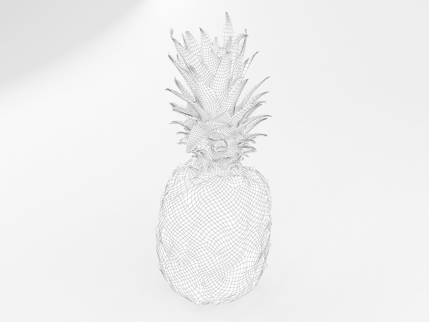 Pineapple 3D model_12