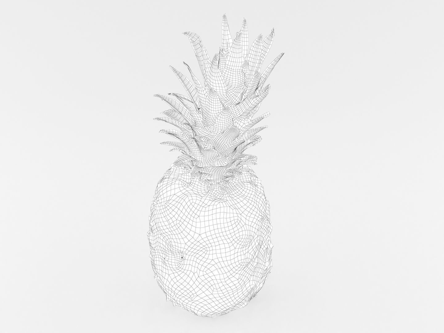 Pineapple 3D model_10
