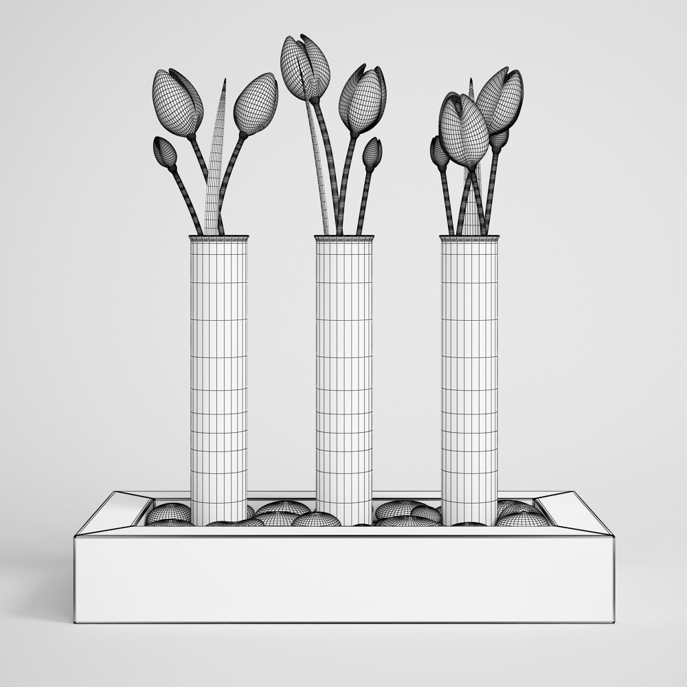 CGAxis flower 3D model_1