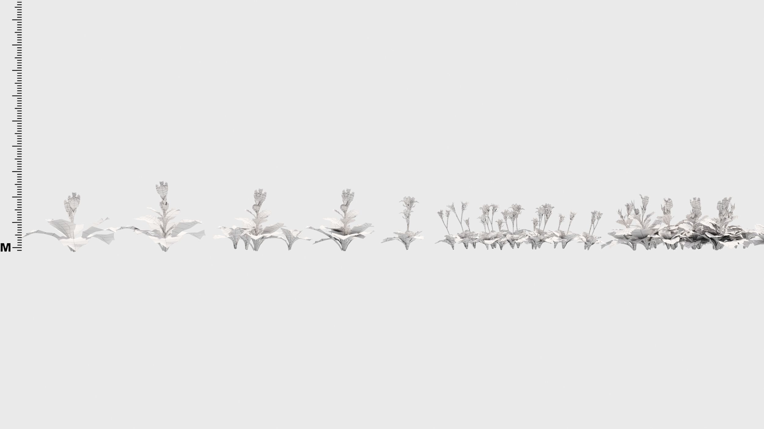 Mazus plants 3D model_11