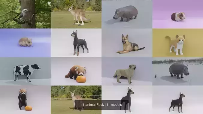 11 animal Pack 3D Model Collection