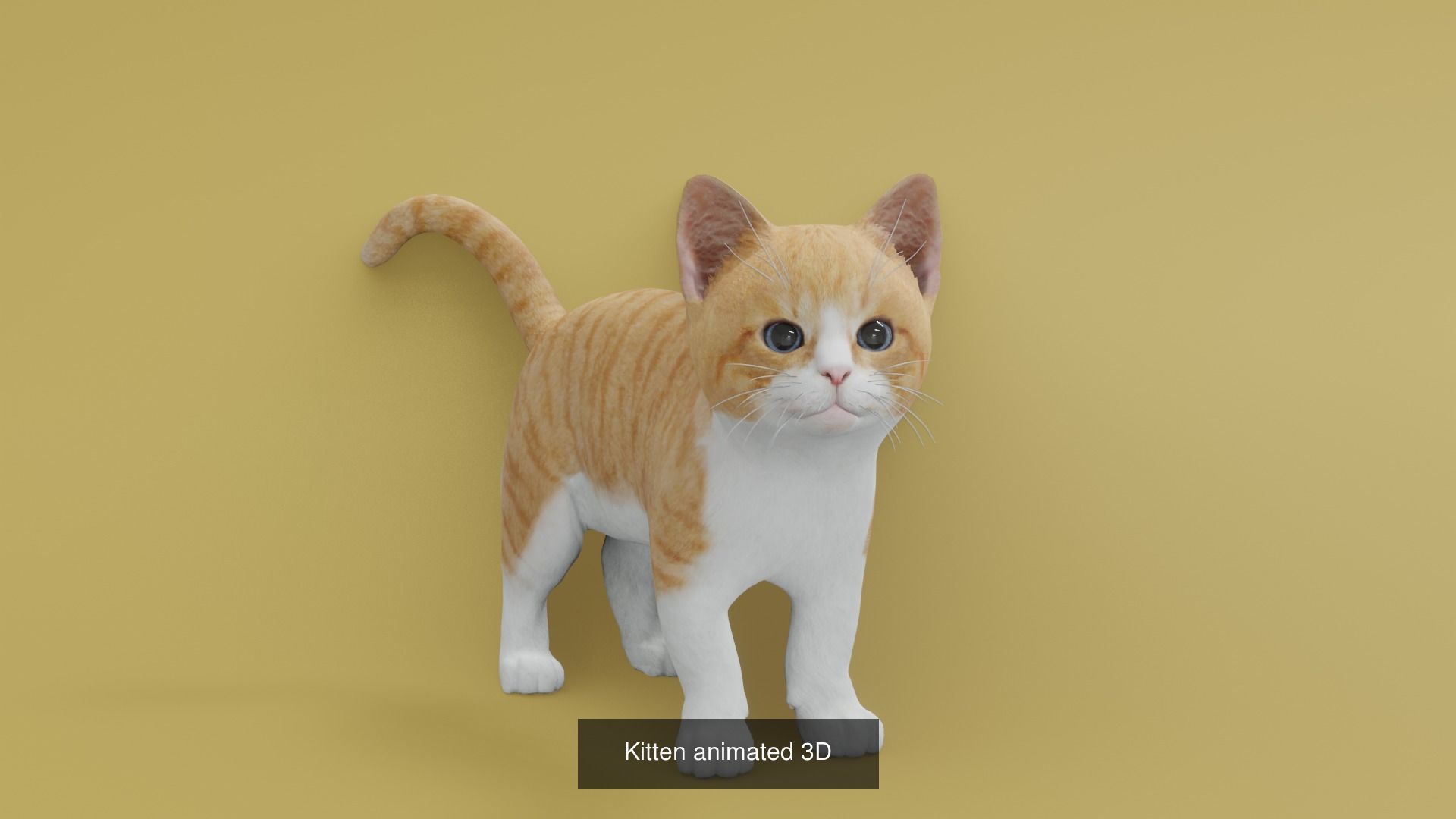 11 animal Pack 3D Model Collection_8