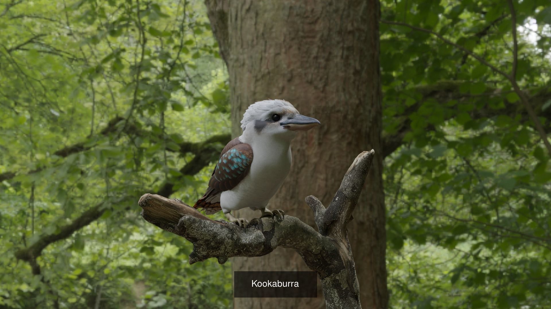 11 animal Pack 3D Model Collection_1