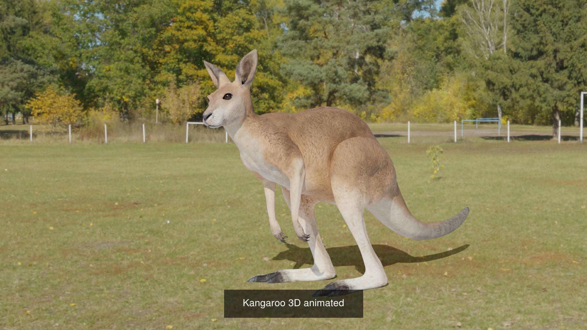 11 animal Pack 3D Model Collection_2