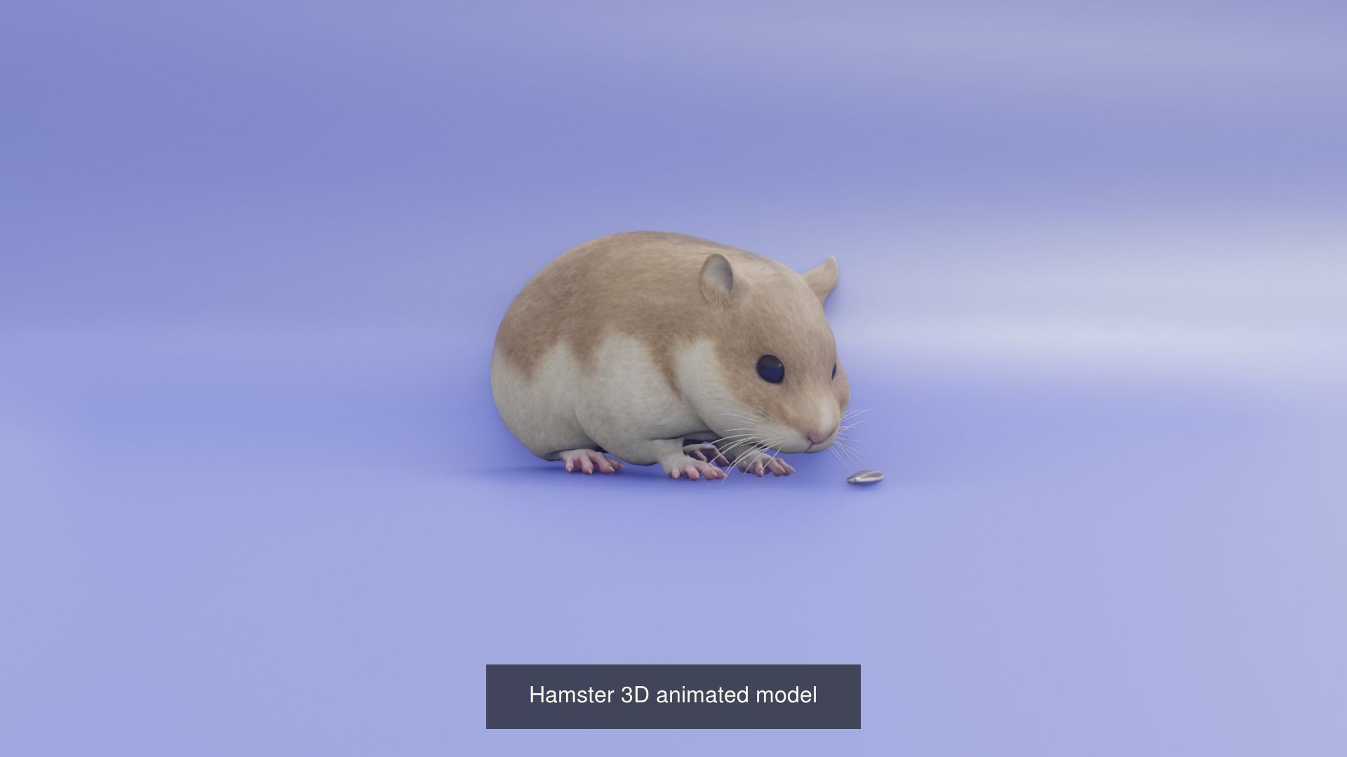 11 animal Pack 3D Model Collection_5