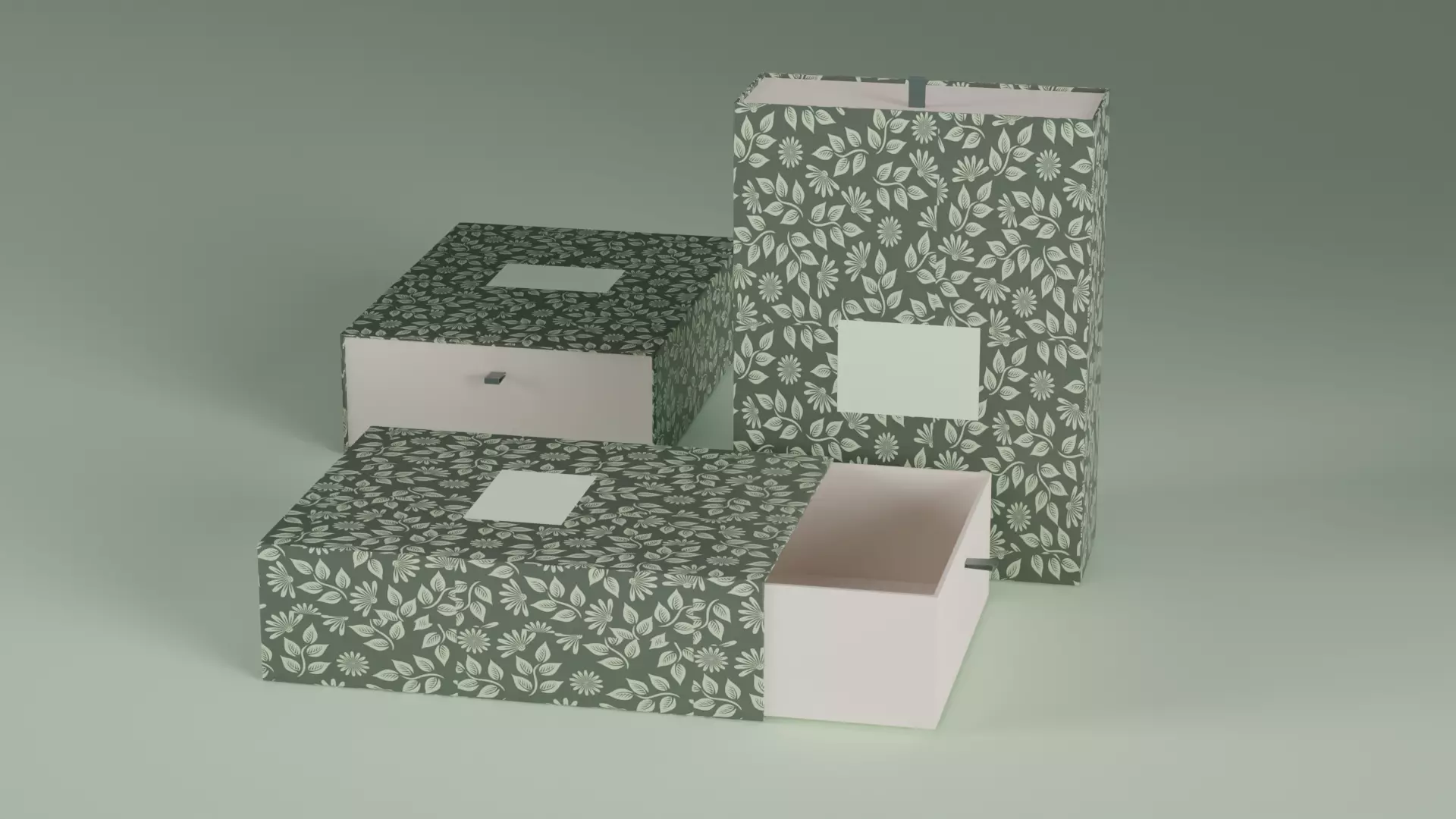 Premium Box package 3D model