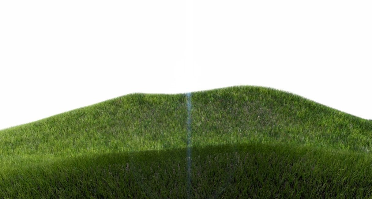 Dynamic Grass 3D model_7