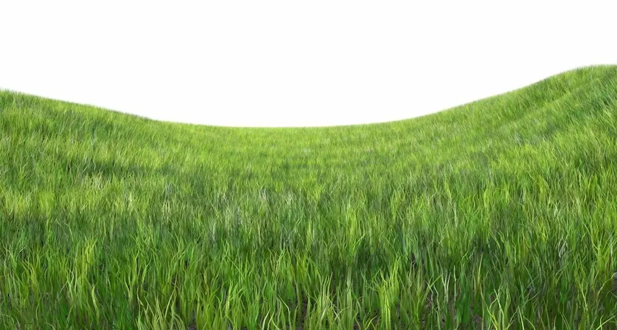 Dynamic Grass 3D model_0