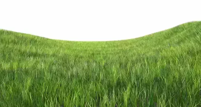 Dynamic Grass 3D model