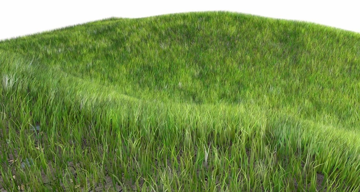 Dynamic Grass 3D model_2