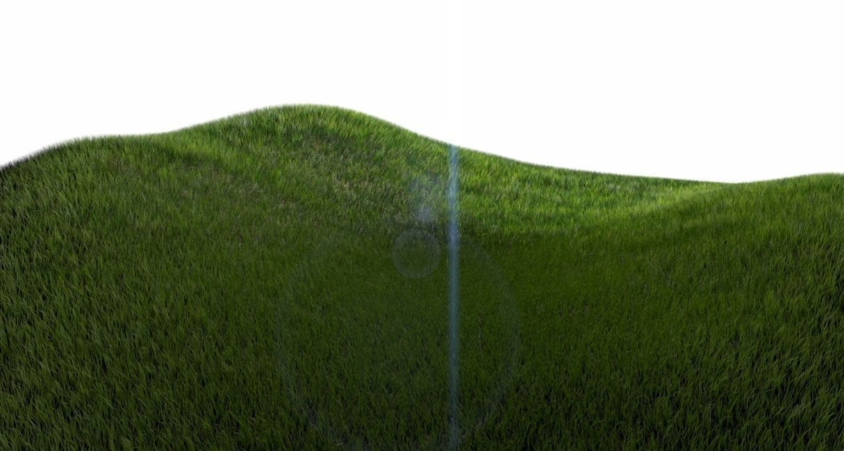 Dynamic Grass 3D model_8