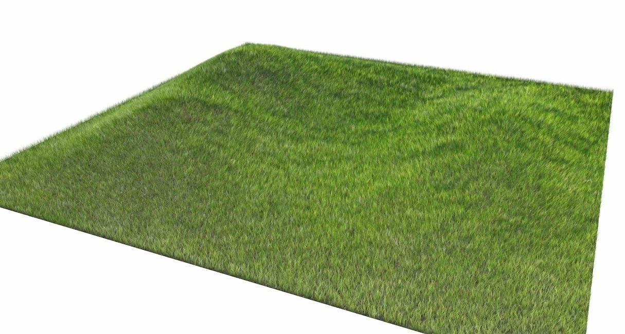 Dynamic Grass 3D model_5